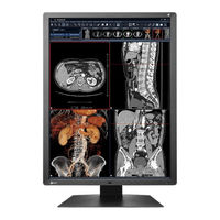 Eizo RadiForce RX250 Instrucciones De Uso