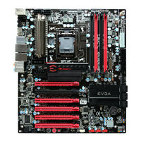 EVGA P55 Guía Visual