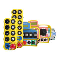 IMET RADIOMANDO M550 Manual De Instrucciones