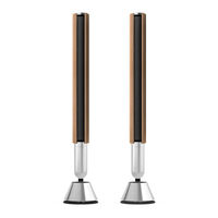 Bang & Olufsen BEOLAB 28 Guia Del Usuario