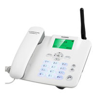 Huawei F317 Guia Del Usuario