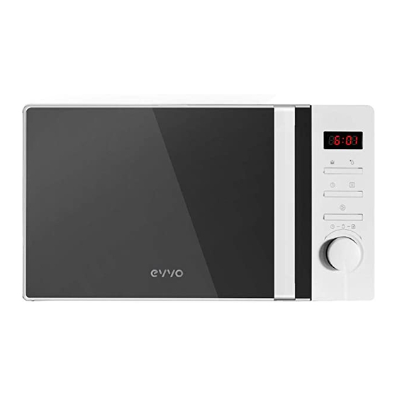 EVVO M2 Mirror Manual De Instrucciones