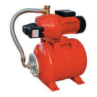 Master Pumps MPXA10MLALL Manual De Uso