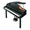 Roland RG-1