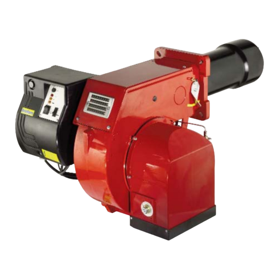 Ecoflam MAIOR P 60 AB Manual De Instrucciones