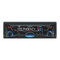 Radio Blaupunkt Phoenix MP33 Instrucciones De Manejo