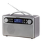 Daewoo AVS1324G - Manual de radio DAB portátil