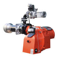 baltur BGN 350P Manual De Instrucciones De Uso