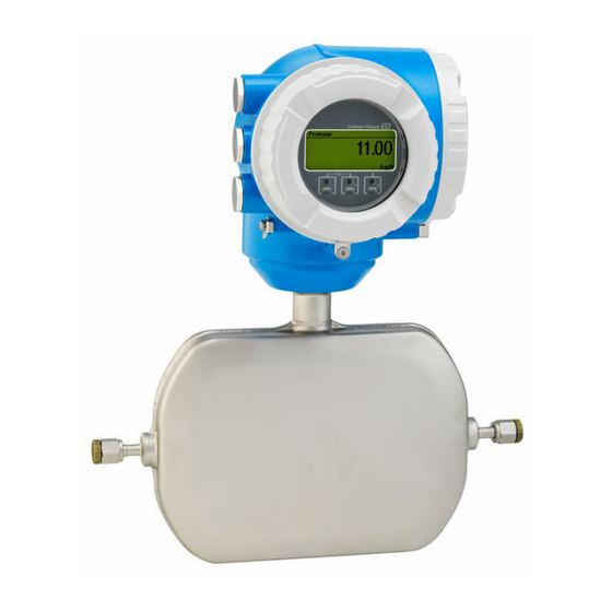 Endress+Hauser Proline Promass E 300 Manual De Instrucciones
