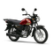 Yamaha GRUX S