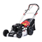 Cortacéspedes STERWINS PLM1- 51B150.4 Instrucciones De Montaje, Utilización Y Mantenimiento