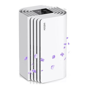 Welov P100 Mini - Purificador de Aire Port&aacute;til HEPA con Aromaterapia Manual