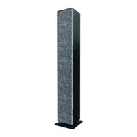 Energy Sistem Tower 2 Style Manual De Usuario