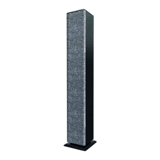 ENERGY SISTEM Tower 2 Style Manual De Usuario
