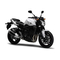 Motocicletas Yamaha FZ1-N 2008 Manual Del Propietário