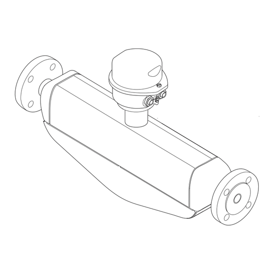 Endress+Hauser Proline Promass S 100 Manual De Instrucciones
