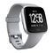 Relojes Fitbit versa Manual Del Usuario