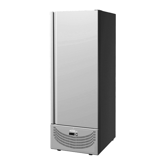 Interlevin RK500 Manual De Instruccion