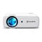 Manual del proyector Vankyo Leisure D30T