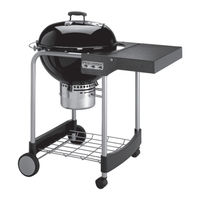 Weber PERFORMER SILVER Manual De Instrucciones