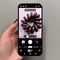 Cómo hacer fotos macro impresionantes con el Google Pixel 10 Pro