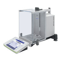 Mettler Toledo XSE Manual De Usuario