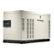 Generac RG04845GNAX