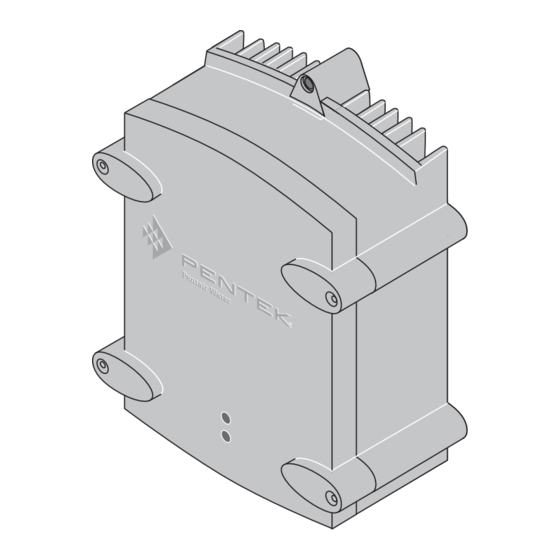 Pentek PPC20-1A-6A0-4 Manual Del Usuario