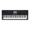 Sintetizadores Casio CT-X800 Guia Del Usuario