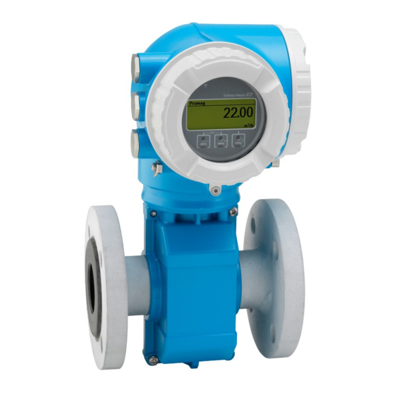 Endress+Hauser Proline Promag W 300 Manual De Instrucciones