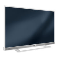 Grundig 22 VLE 5520 WG Manual De Instrucciones