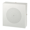 Altavoces Monacor ESP-80/WS Manual De Instrucciones