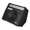 Amplificadores Laney AH100 Manual Del Usuario