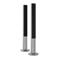 Bang & Olufsen 6843 Guía De Reparación