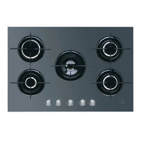 Indesit IPG 751 S Manual De Instrucciones
