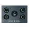 Quemadores Indesit IPG 640 S Manual De Instrucciones