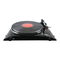 Tocadiscos ION PROFILE PRO Manual De Inicio Rápido