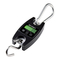 VOLTCRAFT HS-100, HS-300 - Manual de la báscula colgante