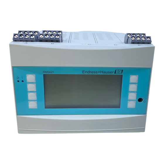 Endress+Hauser RMS 621 Manual De Instrucciones