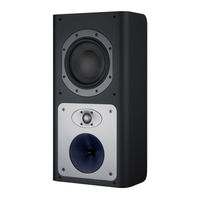 Bowers & Wilkins CT8.4 LCRS Manual De Instrucciones