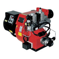 Ecoflam Multicalor 70 Manual De Instrucciones