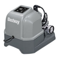 Bestway FLOWCLEAR 58677 Manual Del Propietário