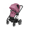 Cochecitos de Bebés CYBEX GOLD TALOS S LUX Manual Del Usuario