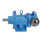 Bombas Viking pump MAG DRIVE 855 Serie Manual De Servicio Técnico