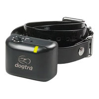 Dogtra YS300 Manual Del Propietário