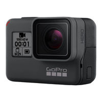 Gopro HERO Manual Del Usuario