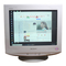 Monitores Sony Trinitron CPD-G220 Manual De Instrucciones