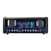 Hughes & Kettner GrandMeister Deluxe 40 Manual De Instrucciones