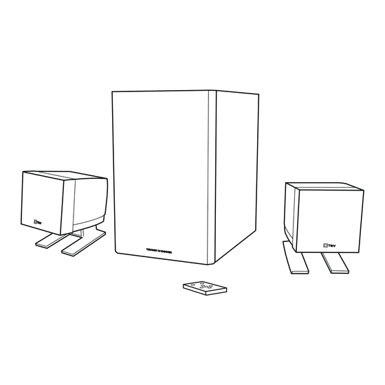 Thonet & Vander SPIEL BT Manual Del Usuario