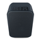 Bluesound PULSE FLEX - Manual del altavoz inalámbrico portátil todo en uno